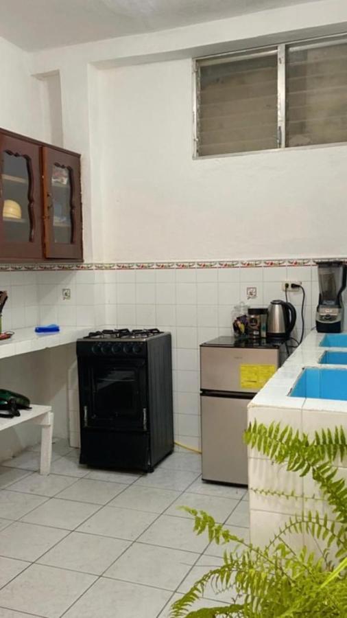 Appartement Amavi House à Flores Extérieur photo